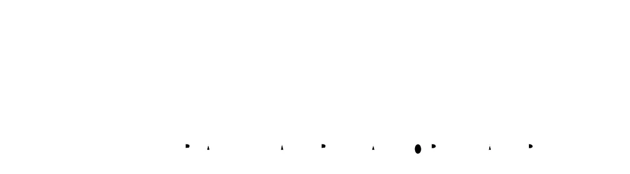 Rapimetal